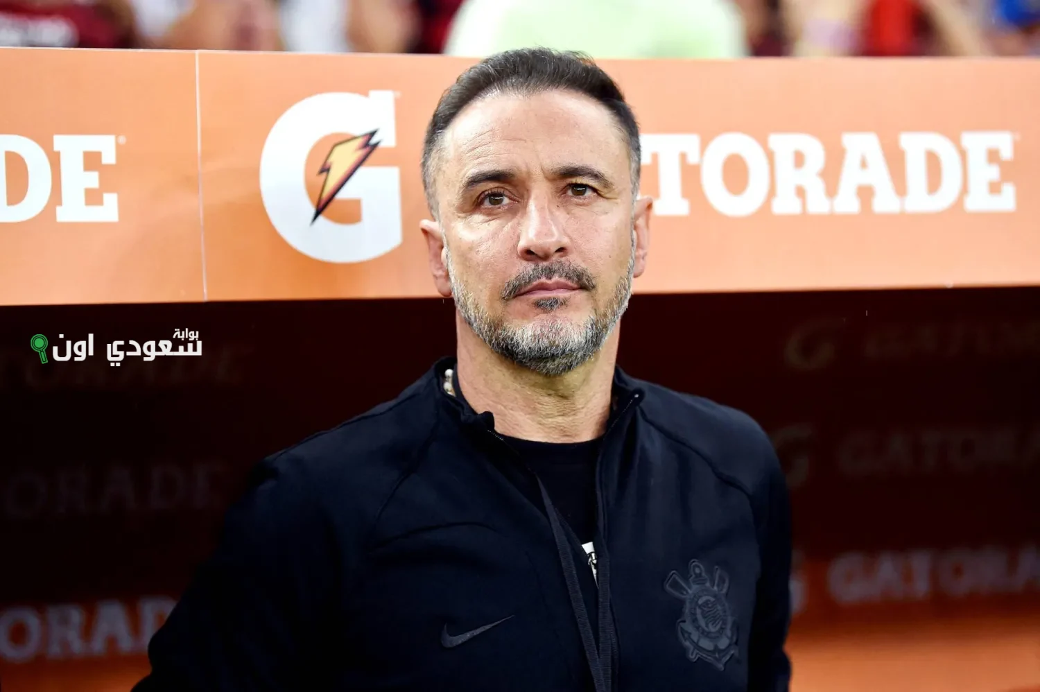 فيتور بيريرا