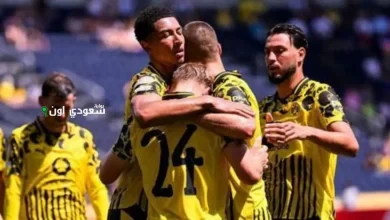 بوروسيا دورتموند