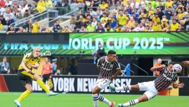 دورتموند و صن داونز