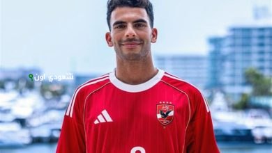 نادر السيد: زيزو
