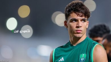 جابريال فيجا