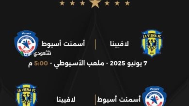 مباراة لافيينا وأسمنت أسيوط