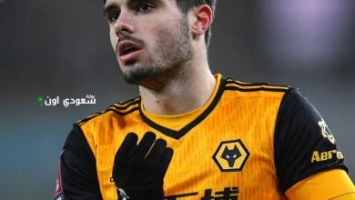 بيدرو نيتو