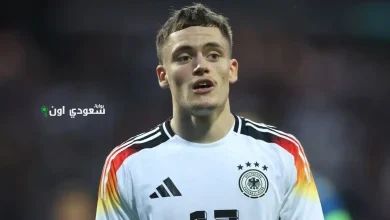فيرتس