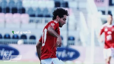 محمد هاني