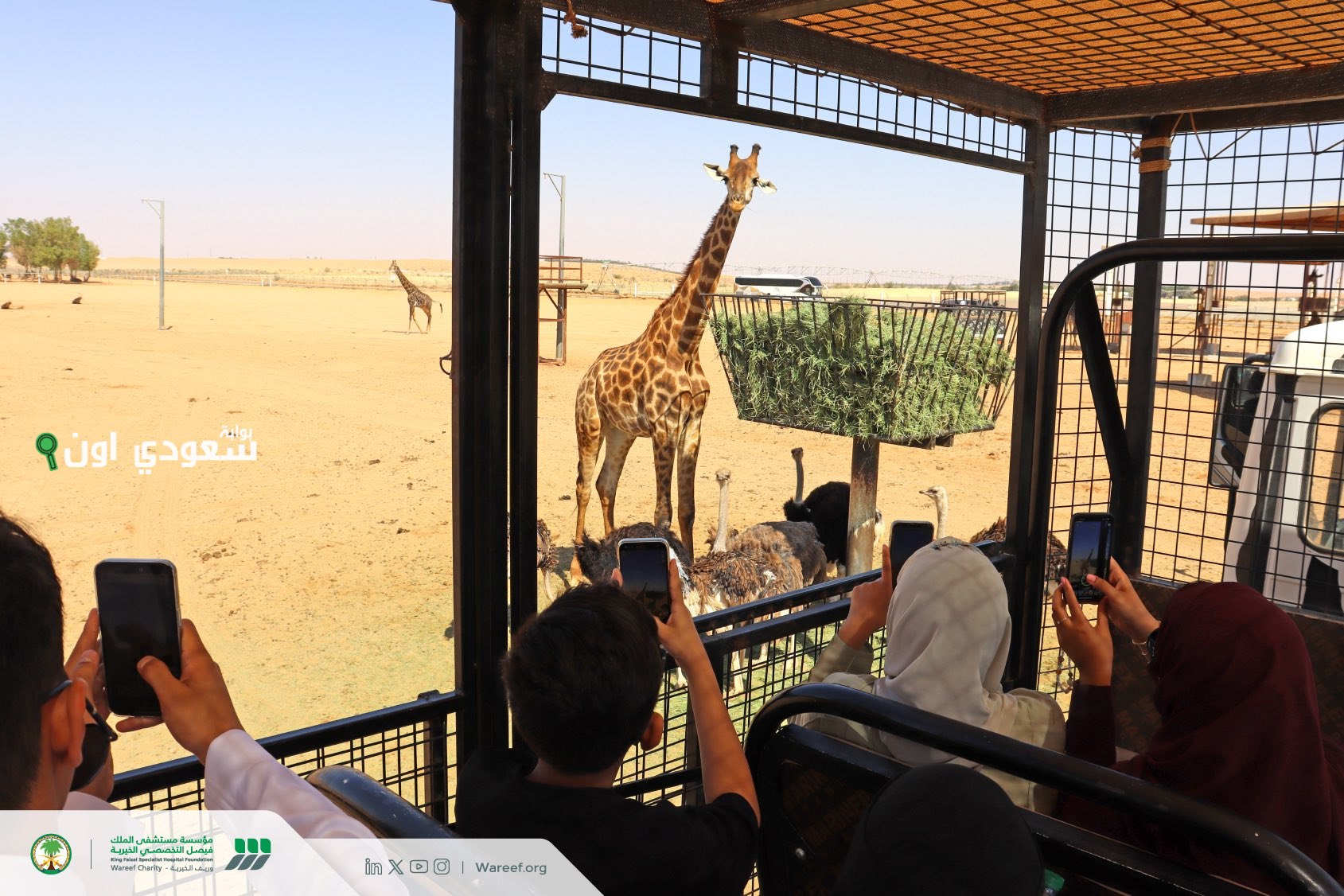 جمعية وريف الخيرية