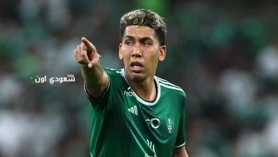 روبرتو فيرمينو