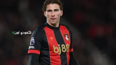 إيليا زابارني لاعب بورنموث