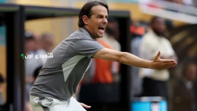 إنزاجي
