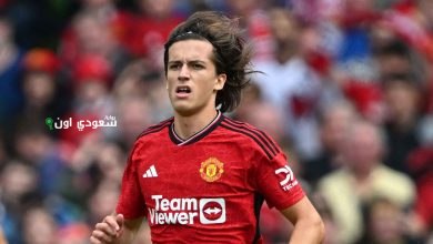 ألفارو فيرنانديز