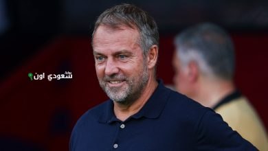 هانسي فليك