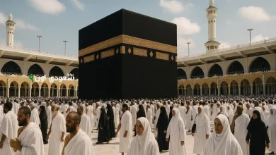 234 مليون منتج غذائي لخدمة ضيوف الرحمن في حج 1446