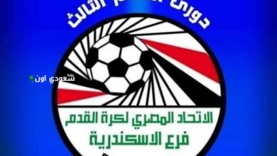 دوري القسم الثالث