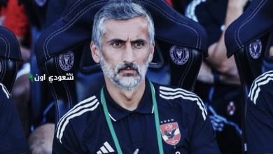 ريبيرو