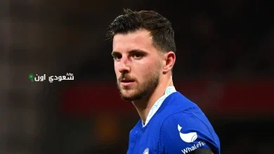 ميسون ماونت