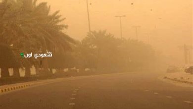 «الأرصاد» تحذر من أتربة