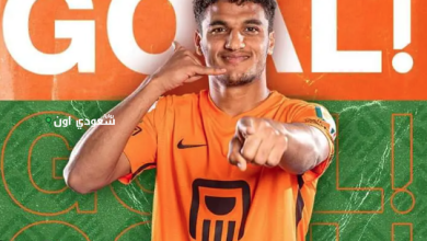 أسامة فيصل