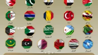 20 دولة تصدر بياناً مشتركاً تندد بالهجمات الإسرائيلية على إيران