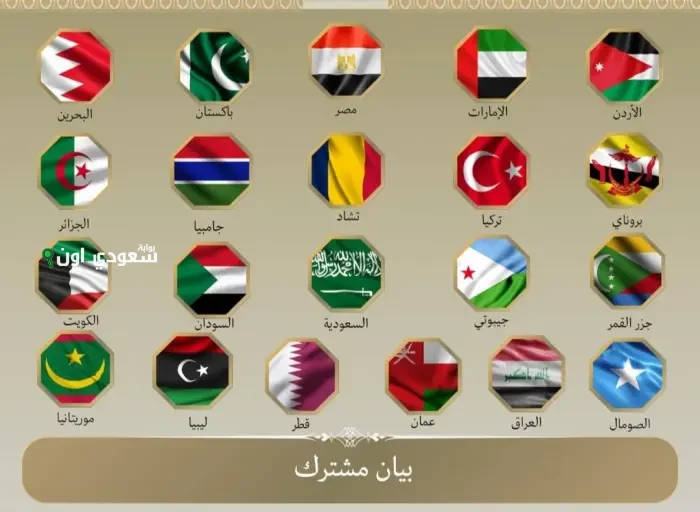 20 دولة تصدر بياناً مشتركاً تندد بالهجمات الإسرائيلية على إيران