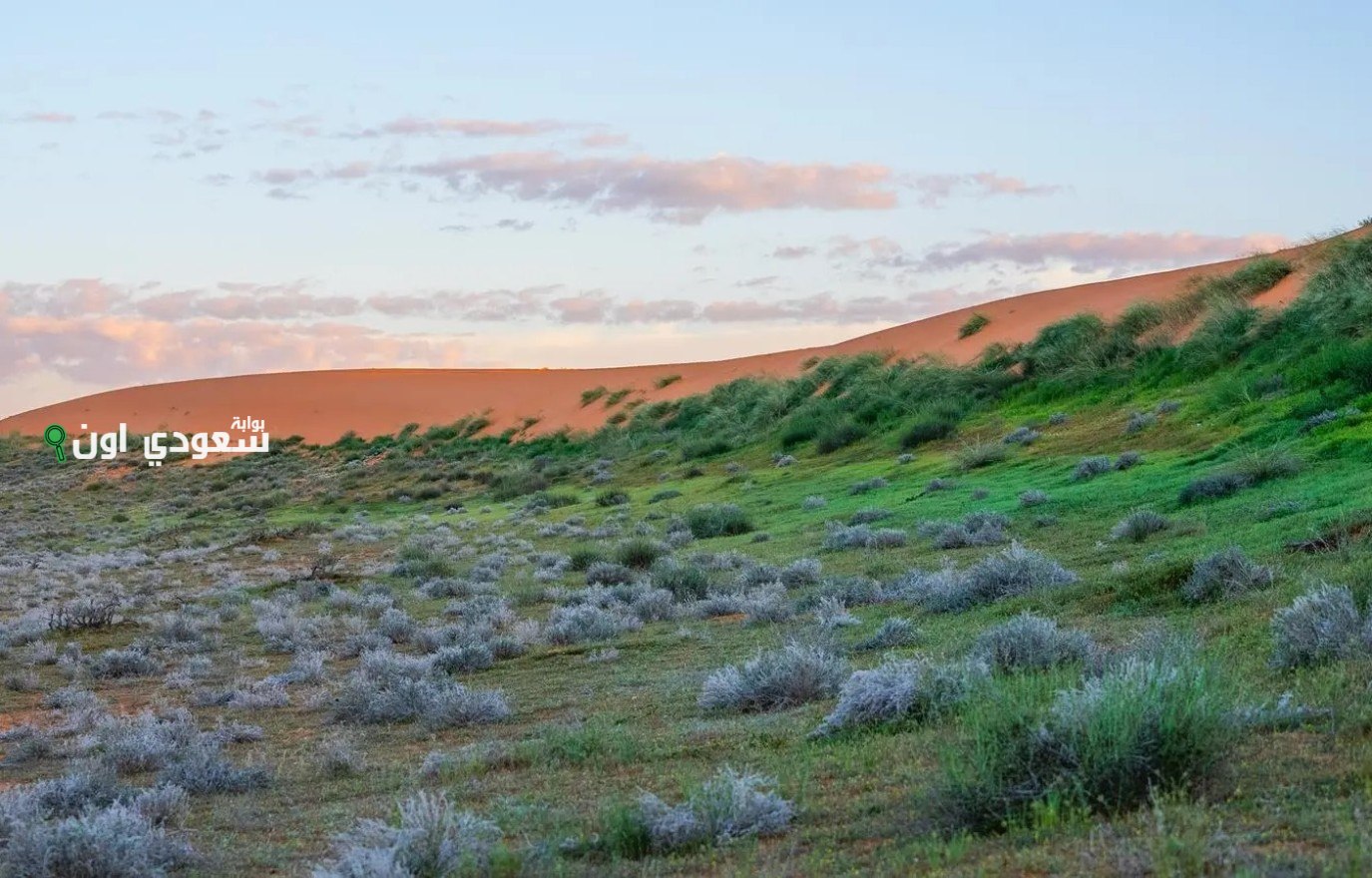 محمية الملك عبدالعزيز تطلق آلية جديدة للدخول والتنزه بالصمان والدهناء