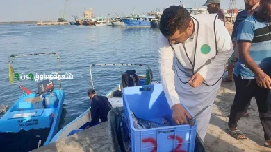 جولات تفتيشية مكثفة على منافذ بيع السيارات في منطقة جازان لضمان compliance