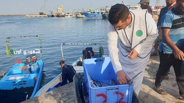 حملات رقابية مكثفة للتصدي