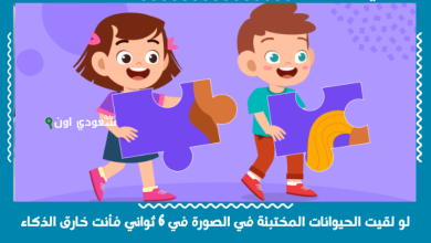 لو لقيت الحيوانات المختبئة في الصورة في 6 ثواني فأنت خارق الذكاء