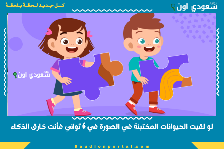 “ناس قليلة بس اللي شافوها”.. لو لقيت الحيوانات المختبئة في الصورة في 6 ثواني فأنت خارق الذكاء