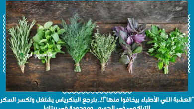 “العشبة اللي الأطباء بيخافوا منها”!!.. بترجع البنكرياس يشتغل وتكسر السكر التراكمي في الجسم.. وموجودة في بيتك!