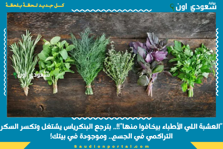 “العشبة اللي الأطباء بيخافوا منها”!!.. بترجع البنكرياس يشتغل وتكسر السكر التراكمي في الجسم.. وموجودة في بيتك!