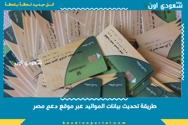 تحديث بيانات بطاقات التموين 2025 عبر موقع دعم مصر وخطوات إضافة المواليد الجدد على بطاقة التموين
