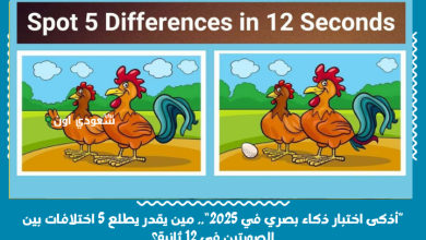“أذكى اختبار ذكاء بصري في 2025”.. مين يقدر يطلع 5 اختلافات بين الصورتين في 12 ثانية؟