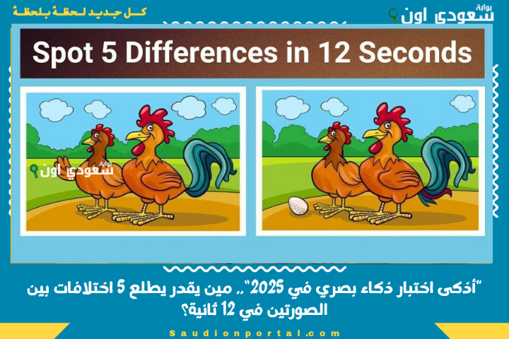 “أذكى اختبار ذكاء بصري في 2025”.. مين يقدر يطلع 5 اختلافات بين الصورتين في 12 ثانية؟