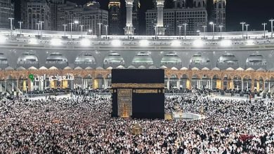 م arrival ضيوف خادم الحرمين الشريفين في المدينة المنورة بعد الحج