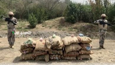 جازان