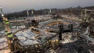 هيئة الإحصاء تعلن عن وصول 1,673,230 حاجاً وحاجة إلى الأراضي المقدسة هذا العام