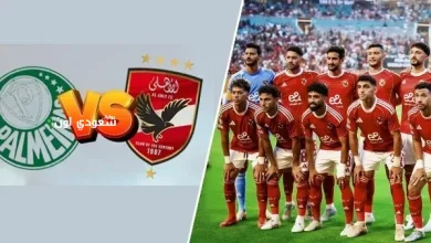 مباراة الأهلي ضد بالميراس