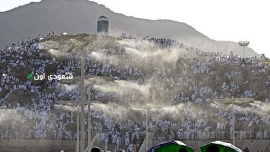 دعاء الحجاج يتردد في جبل الرحمة يوم عرفة
