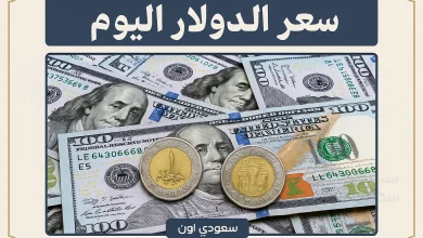 سعر الدولار اليوم امام الجنيه المصري