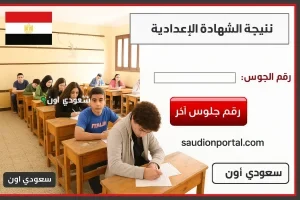 تنسيق دخول اولى ثانوي