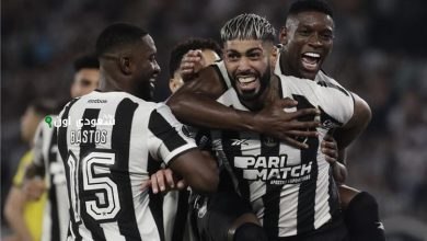 بوتافوجو البرازيلي