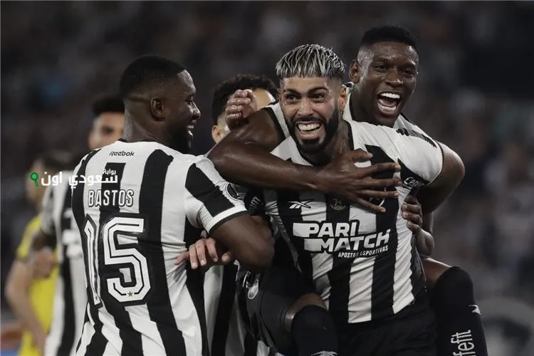 بوتافوجو البرازيلي