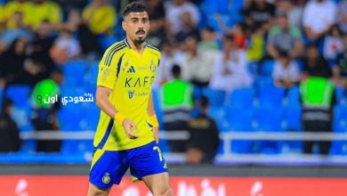 علي لاجامي