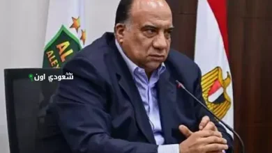 محمد مصيلحي