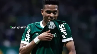 استيفاو