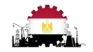 حصاد 2024 نمو 38% في العلامات التجارية المحلية ومنشآت جديدة