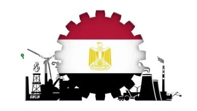 حصاد 2024 نمو 38% في العلامات التجارية المحلية ومنشآت جديدة