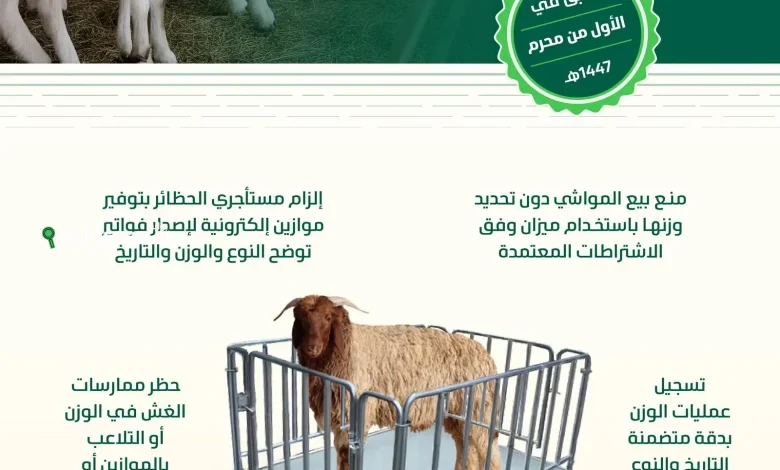 البيئة تبدأ الخميس بتطبيق ضوابط وزن بيع المواشي الحية
