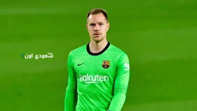 تير شتيجن
