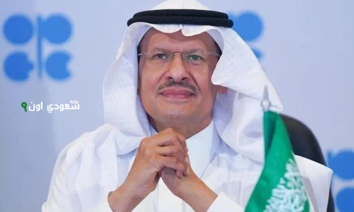 الأمير عبدالعزيز بن سلمان: السعودية وروسيا توفران مناخ الاستثمار المتميز